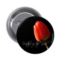 Madre pintada rojo del tulipán de la novia