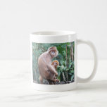 Madre y bebé del mono del Langur Tazas De Café
