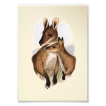 Madre y bebé (pintura) del Wallaby Arte Fotográfico