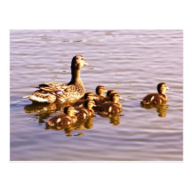 Madre y bebés postales