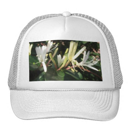 Madreselva blanca 1 gorras de camionero