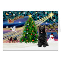 Magia-Briard-Negro de Navidad Felicitación