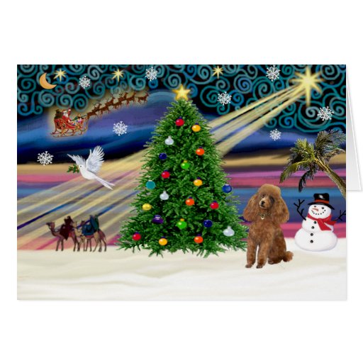 Magia-Caniche-Juguete-Albaricoque de Navidad Felicitaciones