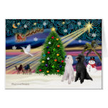Magia-Caniche ST-Pair2 de Navidad Felicitacion