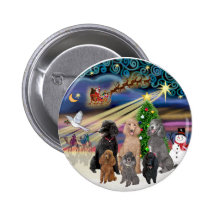 Magia de Navidad (r) - 6 caniches estándar Pins