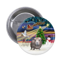 Magia del navidad - conejillo de Indias #1 Pins
