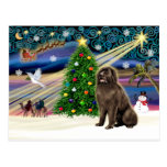 Magia-Newfie-brownsit de Navidad Postales