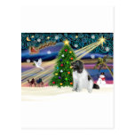 Magia-Newfie-Landseersit de Navidad Postales