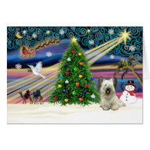 MagicSkye-luz de Navidad Felicitación