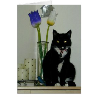 ¿Magnífico o qué? Tarjeta