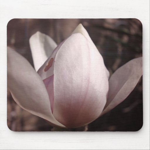 Magnolia azucarada Mousepad