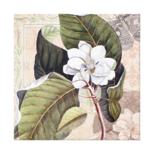 Magnolia blanca meridional del vintage elegante impresiones en lona