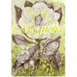 Magnolia Escultura Fotografica