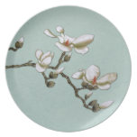 Magnolia floral del vintage azul del trullo platos de comidas