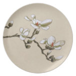 Magnolia floral del vintage poner crema de marfil platos para fiestas