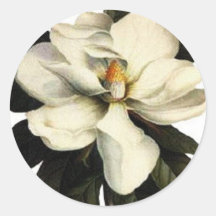 Magnolia - pegatina