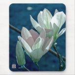 Magnolia Tapetes De Raton