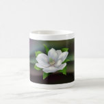 Magnolia Tazas