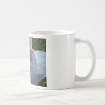 Magnolia Tazas De Café