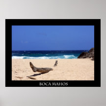 mahos del boca impresiones