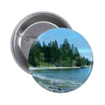 Maine costero pins