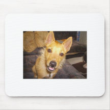 "Maisie" Jack Russell Tapetes De Raton