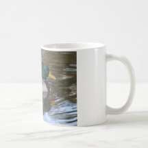 Mal Tazas