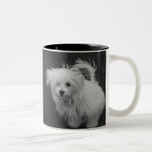 Mala taza del día del pelo