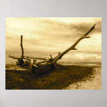 Malaekahana, Laie, Hawaii Poster