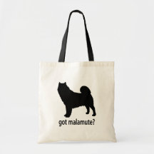 Malamute conseguido bolsa