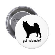 Malamute conseguido pin