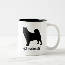 Malamute conseguido tazas de café
