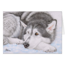Malamute de Alaska en nieve Tarjeton