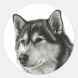 Malamute de Alaska Pegatina