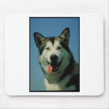 Malamute de Alaska Tapetes De Ratón