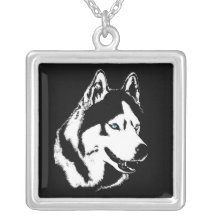 Malamute fornido del collar/regalos fornidos de la