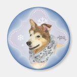 Malamute fornido imanes  