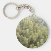Malas hierbas blancas llavero personalizado