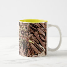 Malas hierbas florecientes amarillas tazas