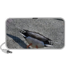 MALFUNCIONAMIENTO DEL TRANSPORTADOR iPod ALTAVOZ