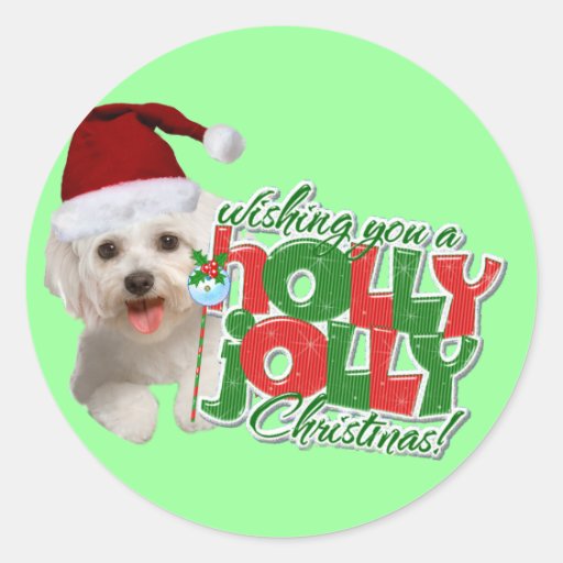 Maltés tenga navidad alegre del acebo etiquetas redondas