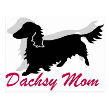 Mamá de pelo largo del Dachshund Postal