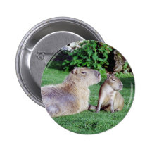 Mamá del Capybara y botón del hijo Pins