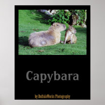 Mamá del Capybara y poster del hijo