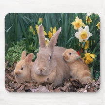 Mamá del conejito de pascua con los bebés Mousepad Alfombrillas De Ratones