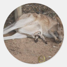 Mamá Kangaroo con Joey en bolsa Pegatinas Redondas