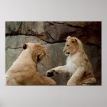 Mamá y Cub Poster