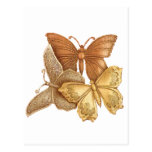 Manada de mariposas postal
