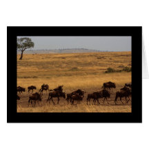 Manada del Wildebeest Tarjeton