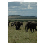 Manada Maasai Mara, Kenia del elefante Felicitacion